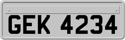 GEK4234