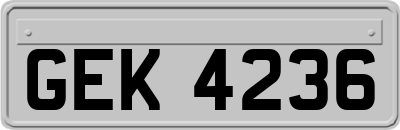 GEK4236