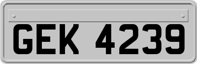 GEK4239