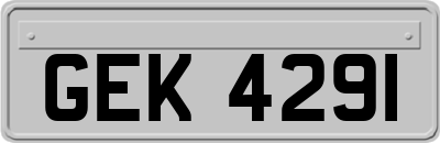 GEK4291