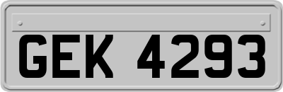 GEK4293