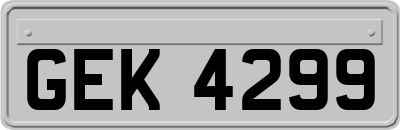 GEK4299