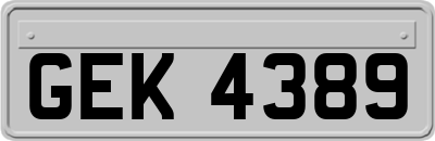 GEK4389