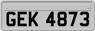 GEK4873