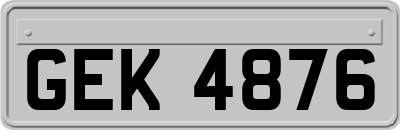 GEK4876