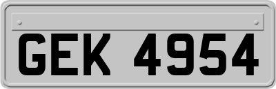 GEK4954