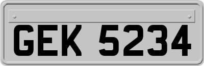 GEK5234