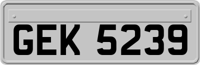 GEK5239