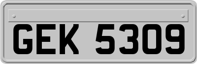 GEK5309