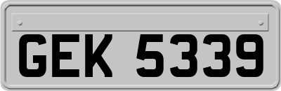 GEK5339