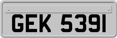 GEK5391