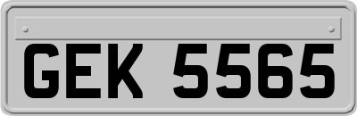 GEK5565
