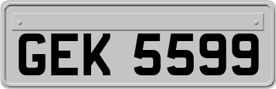 GEK5599