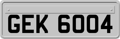 GEK6004