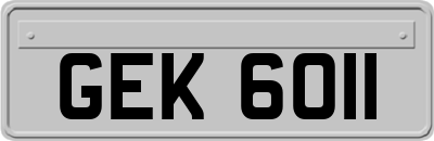 GEK6011