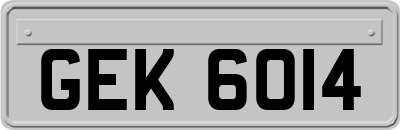 GEK6014