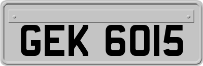 GEK6015