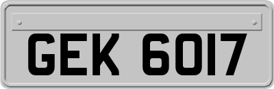 GEK6017