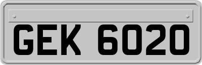 GEK6020