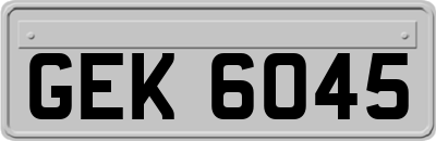 GEK6045