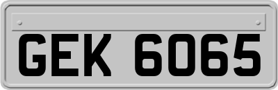 GEK6065