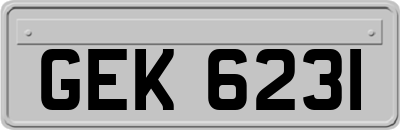 GEK6231