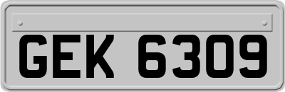 GEK6309