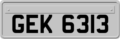 GEK6313