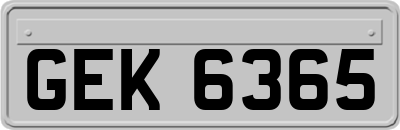 GEK6365