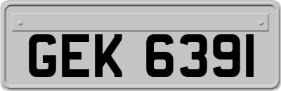 GEK6391