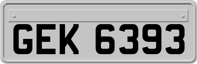GEK6393