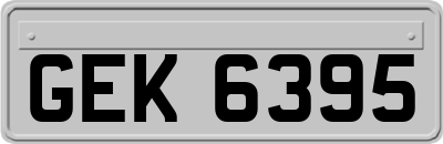 GEK6395