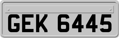 GEK6445