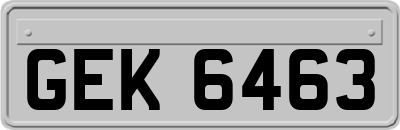 GEK6463