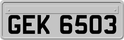 GEK6503