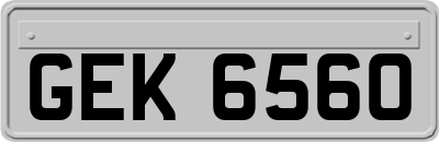 GEK6560