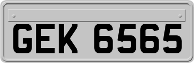 GEK6565