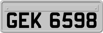 GEK6598
