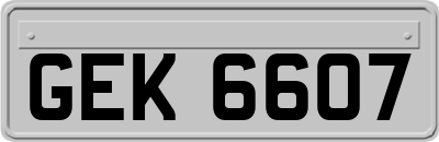 GEK6607