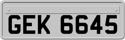 GEK6645