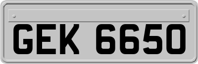 GEK6650