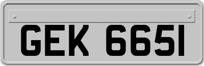 GEK6651