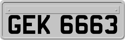 GEK6663