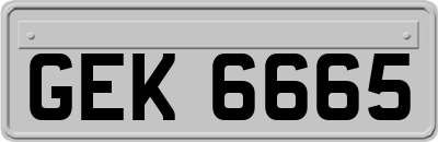 GEK6665