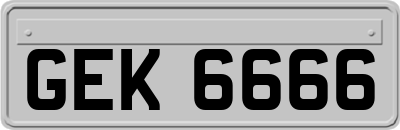 GEK6666