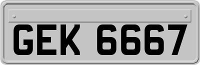 GEK6667