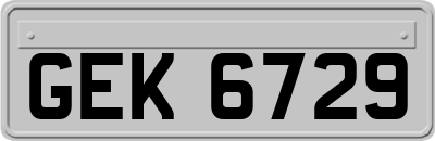 GEK6729
