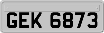 GEK6873