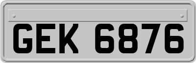 GEK6876