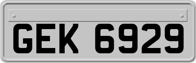 GEK6929
